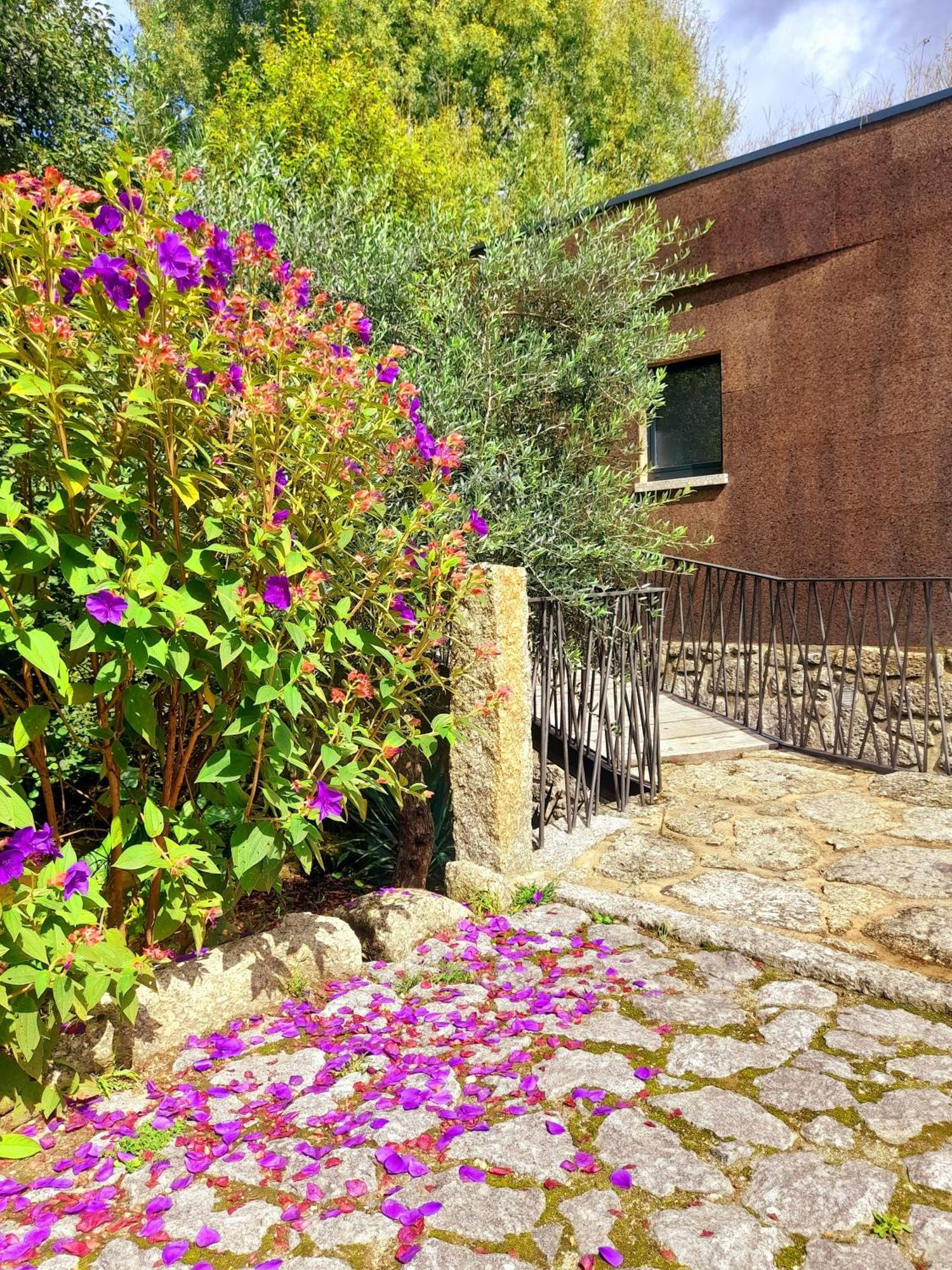 Moinhos Carvalhas Villa Arcos de Valdevez Exterior photo